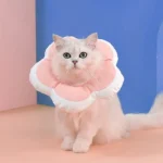 گردنبند الیزابت بالشتی گربه طرح گل سایز کوچک کد 106142