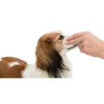 پد تمیز کننده چشم سگ و گربه تریکسی 100 عددی Trixie Eye Care - Image 2