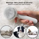 برس سگ و گربه به همراه دکمه تخلیه دار Key Pet Comb - Image 4