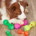 اسباب بازی دندانی سگ طرح دمبل کرونا - Image 2