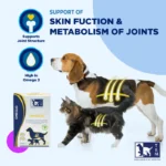 شربت مکمل پوست و مو سگ و گربه امیگلو تی آر ام حجم 200 میلی گرم TRM Omeglo - Image 4