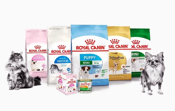 بررسی راه‌های تشخیص رویال کنین اصل و فیک