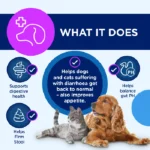 خمیر پروبیوتیک سگ و گربه کنیجست تی آر ام طعم گوشت کبابی حجم 30 میلی گرم TRM Canigest - Image 3