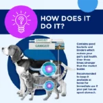 خمیر پروبیوتیک سگ و گربه کنیجست تی آر ام طعم گوشت کبابی حجم 30 میلی گرم TRM Canigest - Image 4