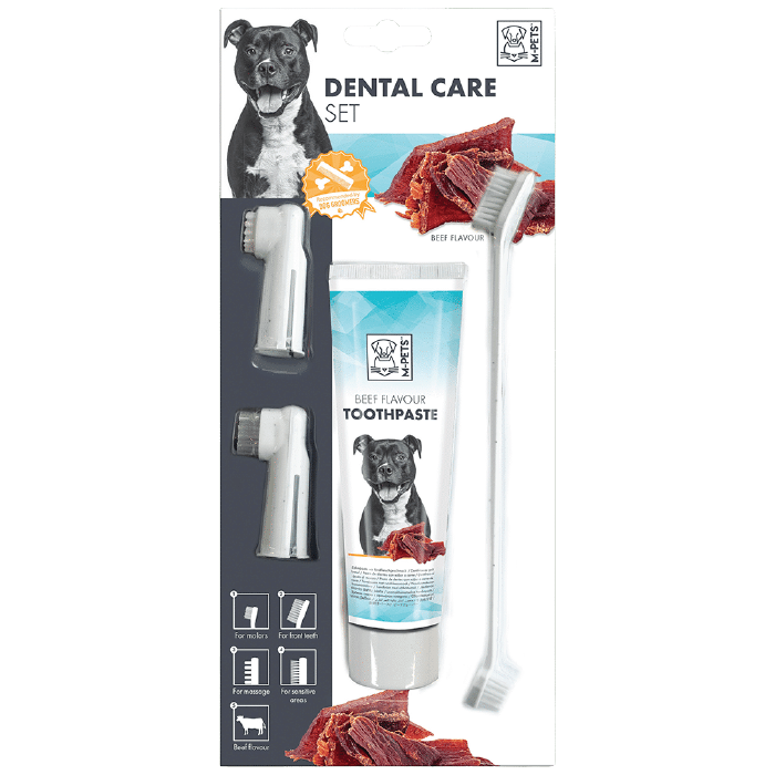 mpets-beef-mint-toothpaste-dog ست مسواک و خمیر دندان سگ ام پتس با طعم گوشت گاو و نعنا M-PETS - Image 1