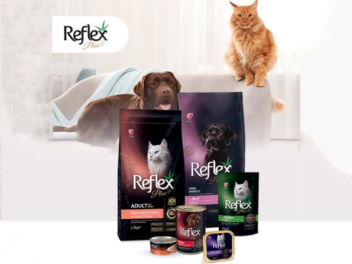 ۵تفاوت رفلکس و رفلکس پلاس