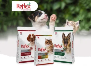 تفاوت رفلکس و رفلکس پلاس