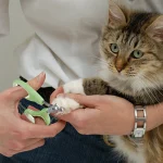 ناخن گیر قیچی سگ و گربه مدل آکو زرپت کد 106322 - Image 4