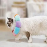 گردنبند الیزابت بالشتی گربه طرح گل رنگین کمانی سایز کوچک کد 106343 - Image 4