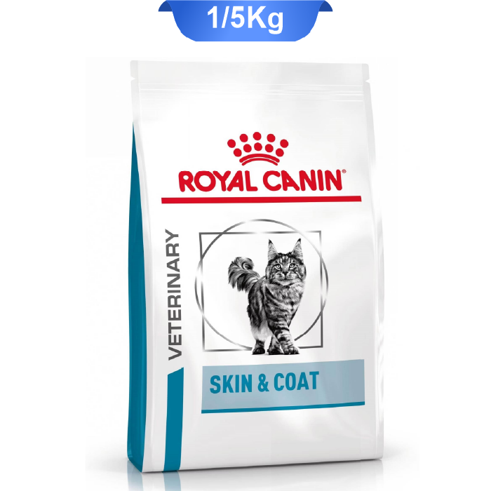 royal-canin-skin-coat-1-5-kg غذای خشک گربه اسکین اند کوات رویال کنین وزن 1.5 کیلوگرم Royal Canin Skin & Coat - Image 1