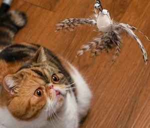 اسباب بازی میله ای بلند گربه به همراه عروسک پرنده