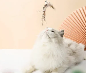 اسباب بازی میله ای بلند گربه به همراه عروسک پرنده