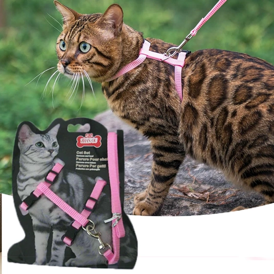 Cat-Collar-pink قلاده کتفی گربه رنگ صورتی