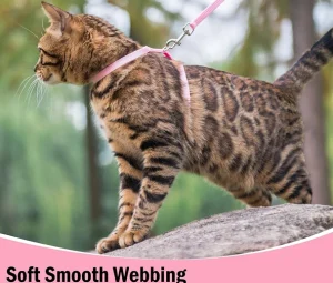 قلاده کتفی گربه رنگ صورتی