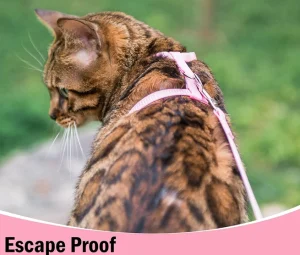 قلاده کتفی گربه رنگ صورتی