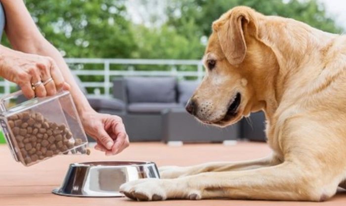 اصول تغذیه برای افزایش وزن سالم