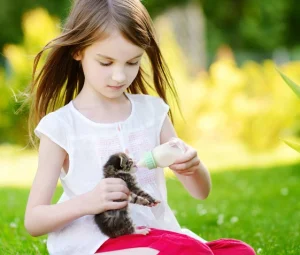 ست شیشه شیر بچه گربه و توله سگ Carno