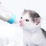 ست شیشه شیر بچه گربه و توله سگ ظرفیت 120 میلی لیتر کد 112337 - Image 6