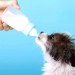 ست شیشه شیر بچه گربه و توله سگ ظرفیت 120 میلی لیتر کد 112337 - Image 7