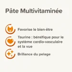خمیر مولتی ویتامین گربه بیفار وزن 100 گرم Beaphar Multi-Vitamin Paste - Image 5