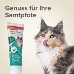 خمیر مولتی ویتامین بچه گربه بیفار وزن 100 گرم Beaphar Junior Paste - Image 4