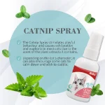 اسپری کت نیپ گربه بایولاین 50 میلی لیتر Catnip spray - Image 2