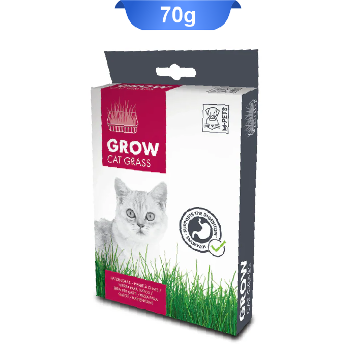 grow-cat-grass-70gr علف گربه ام پت وزن 70 گرم M-Pets Grow Cat Grass - Image 1