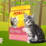 غذا خشک بچه گربه جوسی کت مدل کیتن طعم مرغ