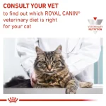 غذای خشک گربه رویال کنین رنال مدل ارلی وزن 1.5 کیلوگرم Royal Canin Early Renal - Image 3