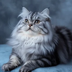 خمیر مالت گربه آنتی هربال دکتر کلادرز