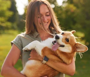 تشویقی سگ نوبی سطلی طعم گوشت بره،گوشت شکار،سیرابی،مرغ و گوشت گاو