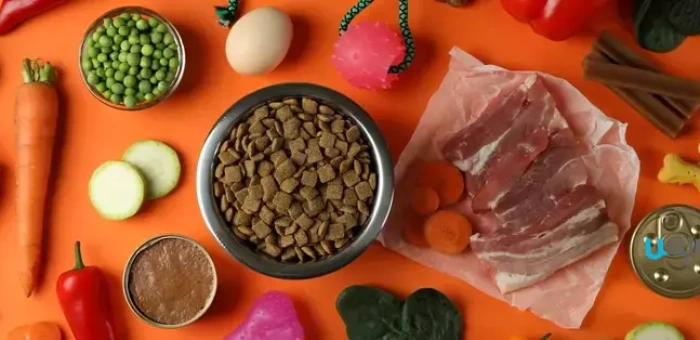 ترکیبات غذای سگ پیت بول