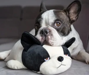 خمیر سگ و گربه دکتر کلادرز برای پشتیبانی از گوارش طعم جگر خوک