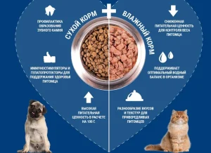 غذاخشک گربه عقیم شده مونژه طعم ماهی کاد