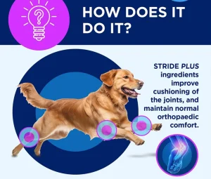 شربت مکمل تقویت مفاصل سگ تی آر ام مدل استراید
