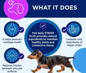 شربت مکمل تقویت مفاصل سگ تی آر ام مدل استراید