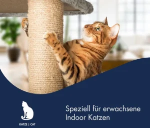 غذاخشک گربه بالغ خانگی دکتر کلادرز طعم مرغ و سالمون