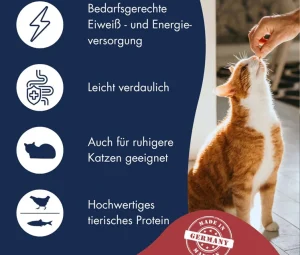 غذاخشک گربه بالغ خانگی دکتر کلادرز طعم مرغ و سالمون