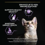 غذا خشک بچه گربه عقیم پروپلن (کیتن) طعم سالمون وزن 1.5 کیلوگرم ProPlan Kitten Sterilised Healthy Start - Image 5