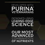 غذا خشک بچه گربه عقیم پروپلن (کیتن) طعم سالمون وزن 1.5 کیلوگرم ProPlan Kitten Sterilised Healthy Start - Image 4