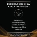 غذا خشک سگ رنال فانکشن پروپلن (درمانی) وزن 3 کیلوگرم PRO PLAN Renal Function Dog - Image 5