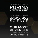 غذا خشک گربه بالغ عقیم پروپلن رنال پلاس طعم بوقلمون وزن 3 کیلوگرم ProPlan Renal Plus - Image 3