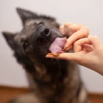 قرص تخصصی پوست و مو سگ و گربه وت اکسپرت مدل وتواسکین 90 عددی VetExpert VetoSkin - Image 7