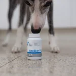 قرص تخصصی پوست و مو سگ و گربه وت اکسپرت مدل وتواسکین 90 عددی VetExpert VetoSkin - Image 6