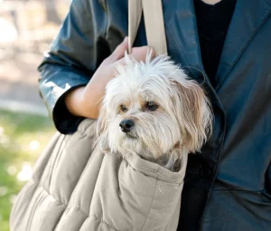 ساک حمل سگ و گربه نیناپت رنگ طوسی مدل پوچه