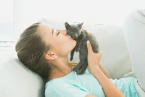 بهترین نژاد گربه برای نگهداری در خانه