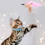 قلاده و اسباب بازی چندکاره گربه دارای پر و زنگوله - Image 4