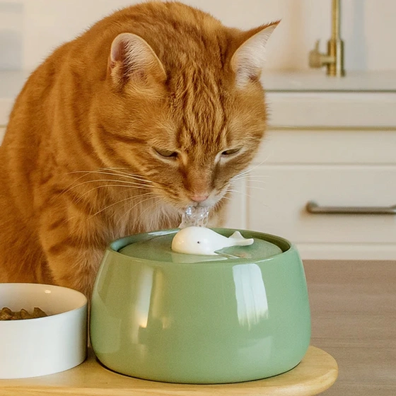 nemo4- آبخوری اتوماتیک سگ و گربه دارای تصفیه آب مدل ماهی